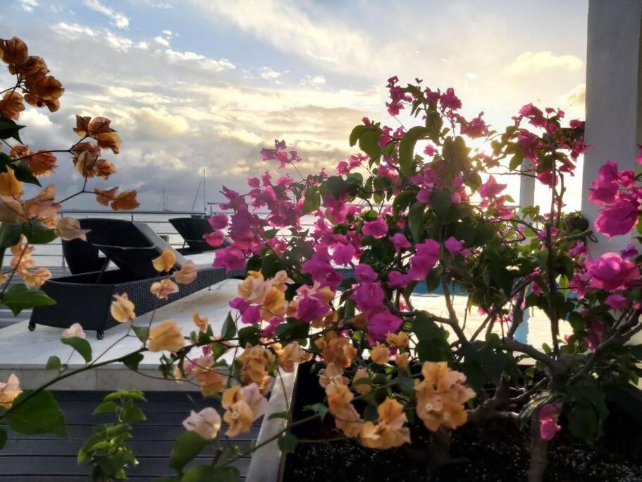 Tradewinds Apartments סימפסון ביי מראה חיצוני תמונה
